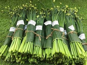 BANANA FRESCA BANANA PARA ENVASAR ALIMENTOS - Product Image 3