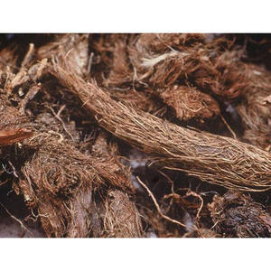 Jatamaansi-<span class=keywords><strong>Nardostachys</strong></span> Chất Kích Thích Rễ Jatamaansi Thuốc Bổ Kháng Co Thắt Thuốc Nhuận Tràng Và Chống Động Kinh - Product Image 6