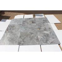 Turkish Grey Marble Tile with Gold Veins, Luxurious Product