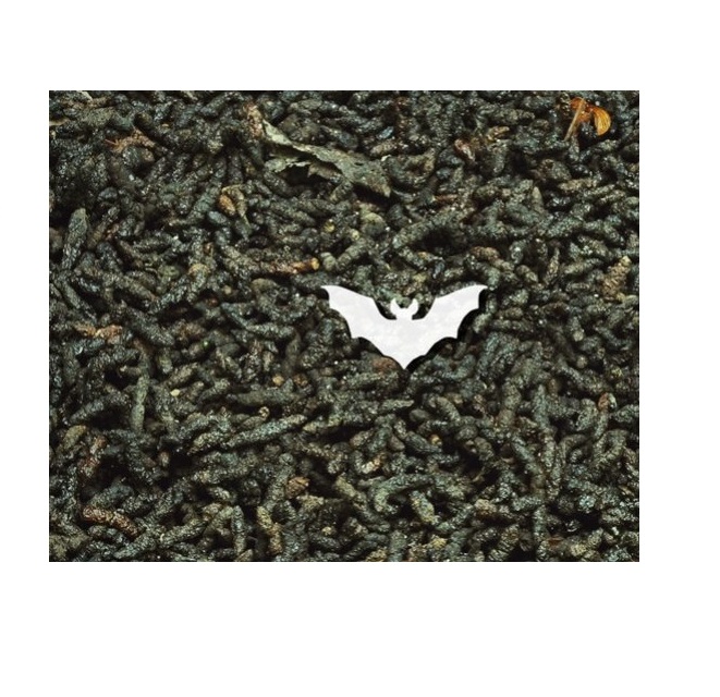 VIETNAM REINE GUANO BESTE PREIS HOHE QUALITT FLEDERMAUS GUANO DNGER  VIETNAM //Rachel: + 84896436456| Alibaba.com