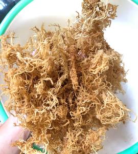 Raw <b>Sea</b> <b>Moss</b> for Making <b>Sea</b> <b>Moss</b> <b>Gel</b>/ Wholesale <b>Irish</b> SeaMoss/ Dried Eucheuma Cottonii Ms. Lily - Product Image 3
