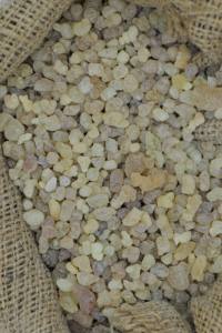 Gomme polyuréthane française de haute qualité, Grade 2, Olibanum - Product Image 4