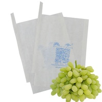 Sac en papier pour la culture des fruits, fabriqué en Chine, pour couvrir les fruits comme les goyaves, les mangues et les bananes