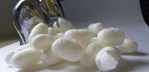 100% Naturel Écologique Fibre De Soie Visage Propre Silkworm Cocoon Écologique Cocons Beauté Soie-Laura - Product Image 2