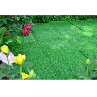 Dalles de terrasse en gazon écologiques modernes 300x300mm antidérapantes carrées en HDPE pour jardin extérieur, terrasse, décoration, emboîtables