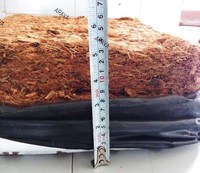 Arava OMRI Terdaftar Kantong Tanam Sabut Kelapa 1000mL Media Tanam Organik Ramah Lingkungan untuk Pertanian Budidaya Blueberry