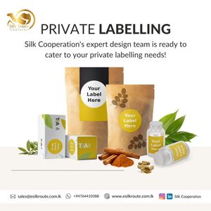 Hạt Giống Cần Tây Khô Các Loại Thảo Mộc Tươi Mới Nhất Hàng Mới Về Bán Trực Tiếp Từ Nhà Máy - Product Image 5