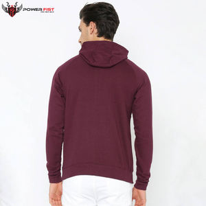 Sweats à capuche pour hommes, coupe classique, logo personnalisé, 100% coton, molleton lourd, couleur unie, couleur personnalisée numérique, teinture unie - Product Image 4