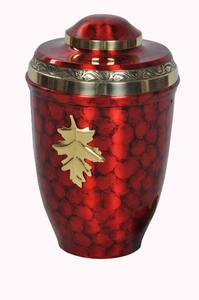 Urna de cremación europea para cenizas humanos - Product Image 5