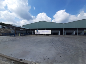 Cao su tự nhiên tấm rss3 nguyên liệu từ Việt Nam có sẵn trong nhà máy với gân hun khói tấm - Product Image 5