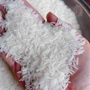 Royal Diamond Pure Grain Jasmine Rice White Rice Penawaran Terbaik dari Pabrik (+ 84986778999 Mr David)