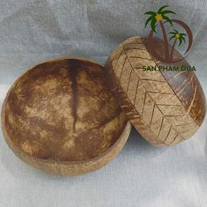 Tazón de cáscara de coco ecológico de alta calidad, cuchara de madera, diseño colorido para acampar, cartón empaquetado de origen VIETNAM pulido - Product Image 1