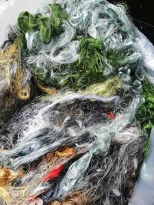 Sari <b>Silk</b> Multicolored Waste for Weavers, Spinners, Art and Crafts, <b>Yarn</b> Stores, Fiber Enthusiasts - Product Image 6