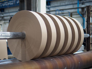 Rollo de placa base de alta calidad, 350, 450 GSM, para hacer núcleos de papel y embalaje de tubo - Product Image 4