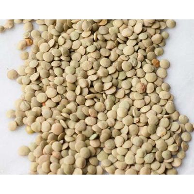 Цельная/разделенная линза (зеленая и красная)