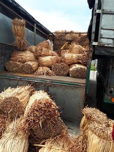 NATURAL WATER HYACINTH <b>ROPE</b> TWISTED CORD <b>CRAFT</b> VIETNAM DRIED WATER HYACINTH MATERIAL for HANDICRAFT - Product Image 4