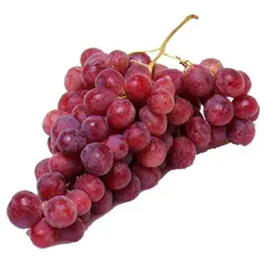 Green Delicious Grape Fruits for sale whole sale