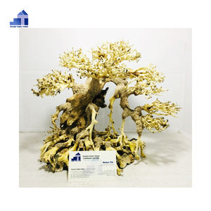 Haute qualité moderne décoratif Aquarium bonsaï bois flotté luxe Rectangle bureau pour salon-produits spéciaux en gros - Product Image 2