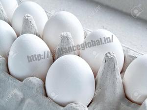 Huevos de Gallina - Product Image 2