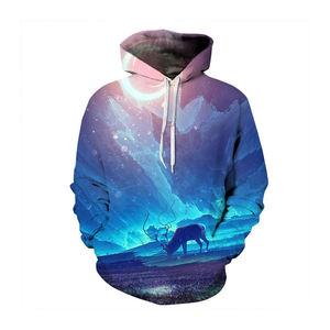Sweat à capuche pour garçons, vêtements de rue, Design personnalisé 3D, impression graphique d'animaux, vente en gros, - Product Image 1