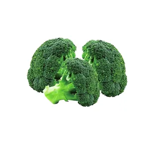 Fresh vegetables frozen broccoli