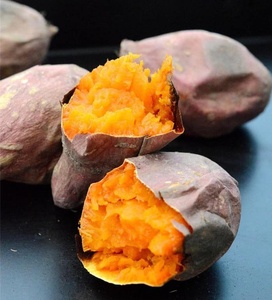 Patates douces congelées IQF, tranchées et pelées, du Vietnam, légume-racine, pour la pâtisserie et la cuisine, usage alimentaire, approvisionnement direct usine, emballage en vrac personnalisé - Product Image 5