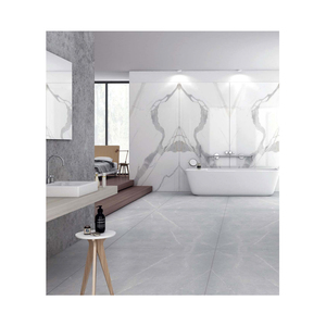 Top Selling 1200x2400 Gvt/Pgvt Porcelain Floor Tiles Rustic Design Anti-Slip 12mm Thick for Hotel Use Bulk Supply - Product Image 1