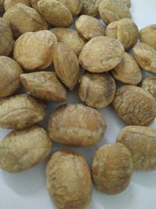 Ventas calientes buena comida Sachi Inchi nueces/Sacha Inchi de Vietnam con precio bajo (Shyn Tran) - Product Image 3
