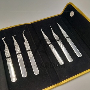 Meilleures ventes de pinces à cils professionnelles en volume russe Logo personnalisé Finition argentée polonaise en fibre d'acier Pince à cils offerte - Product Image 1