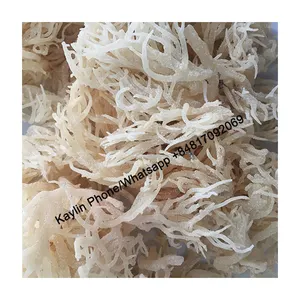 白色尤金棉海藻粗盐制作的海苔从越南出售散装价格好价0084817092069 WS