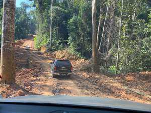 Chengal <b>Log</b> Raw <b>Wood</b> <b>Logs</b> From Malaysia - Product Image 3