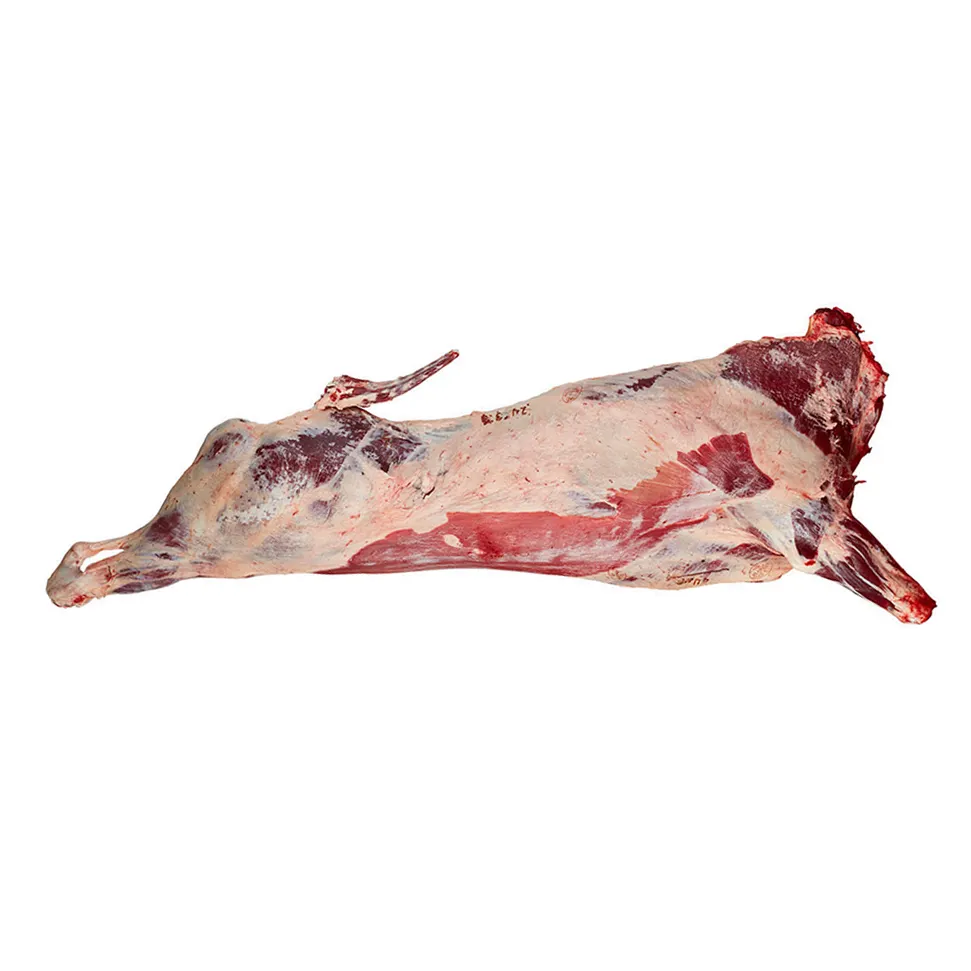 Halal Frozen Beef Bone In/Kuh fleisch/Rindfleisch Kadaver Uruguayan Herkunft