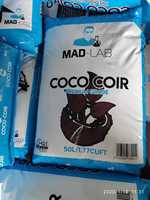 Coco Coir de bonne qualité, prix de gros, sacs de 50 litres, tourbe de coco en sac - Prix de la tourbe de coco pour l'exportation - Coco peat en vrac