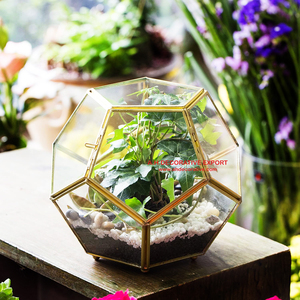 Gold Plated Frame Glass <b>Terrarium</b> Planter Vase High Quality Handicraft Home Decorative Flower Pots Factory Direct <b>Sales</b> - Product Image 6