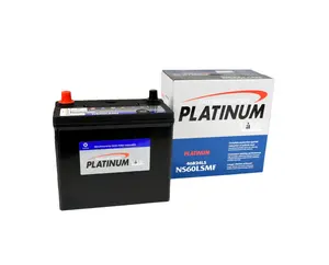 Quality Platinum Batteries From Clarios Delkor Corporation, Korea