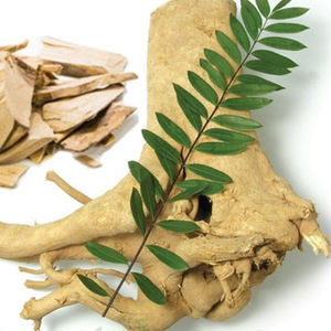 Tongkat Ali Orgánico de Alta Calidad de Vietnam - Product Image 1