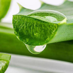 Gel de Aloe Vera con Aceite Portador Prensado en Frío, Certificado GMP, para el Cuidado de la Piel Antienvejecimiento, Hidratante y Reafirmante - Product Image 6