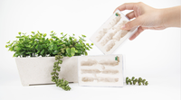 Décoration d'intérieur classique moderne Empire des fourmis Nid de fourmis en plastique écologique Maison-colonie labyrinthe 11,6x7,6x3cm Pour les amoureux des fourmis Toutes saisons