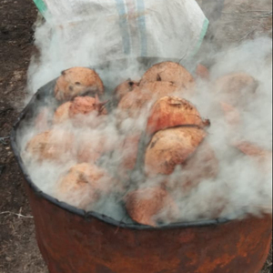 Cáscara de coco carbón ceniza de baja humedad - Product Image 5