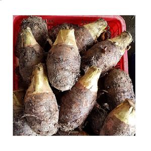 Tranches de Taro Frozen, 8 pièces de haute qualité, Frozen Frozen rapide de légumes - Product Image 3