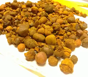Best Medicinal Cow Gall Stones / Ox Gallstones ready for Export From EU