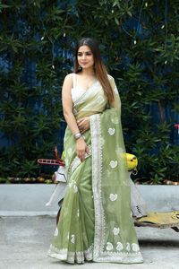 Magnifique sari en fil de Cachemire sur tissu en soie organza de qualité supérieure, avec un chemisier en soie pour les festivals et les occasions spéciales - Product Image 5