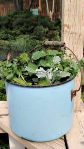 Vintage Galvanized Iron Metal Planter for Home Garden Decoration Elegant Metal Design for Outdoor Living Space - Product Image 3