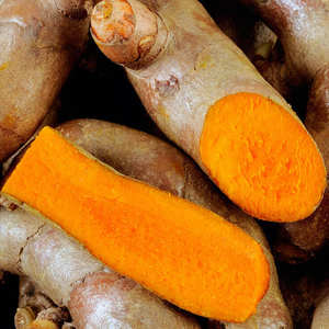 Aceite Esencial de Cúrcuma Puro Destilado al Vapor de Árbol de Té para Blanquear la Piel Nutritivo - Certificado GMP AARNAV GLOBAL EXPORTS Precio Bajo - Product Image 5