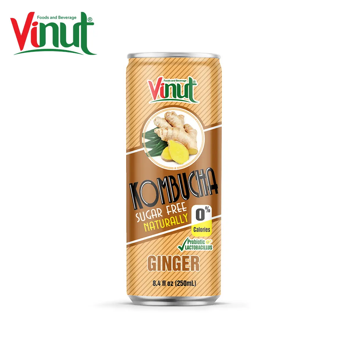 8.4 floz VINUT Kombucha jus de gingembre naturel sans sucre boisson organique à l'aloe vera jus de fruits sans arômes ni conservateurs