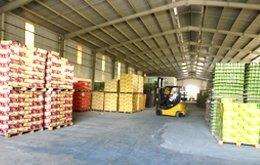 Cônes aux haricots verts instantanés du Vietnam, sans conserver - Product Image 6