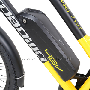 Sobowo OEM Factory Outlet C19 di Alta Qualità A Doppia Batterie <span class=keywords><strong>Cargo</strong></span> Moto Cina <span class=keywords><strong>Bicicletta</strong></span> <span class=keywords><strong>Elettrica</strong></span> - Product Image 4