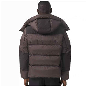Manteau d'hiver 2023 Moose rembourré en duvet, style bomber, non tissé, à capuche pour femme, taille 5XL, grande taille, surdimensionné, imperméable, écologique, style urbain - Product Image 4