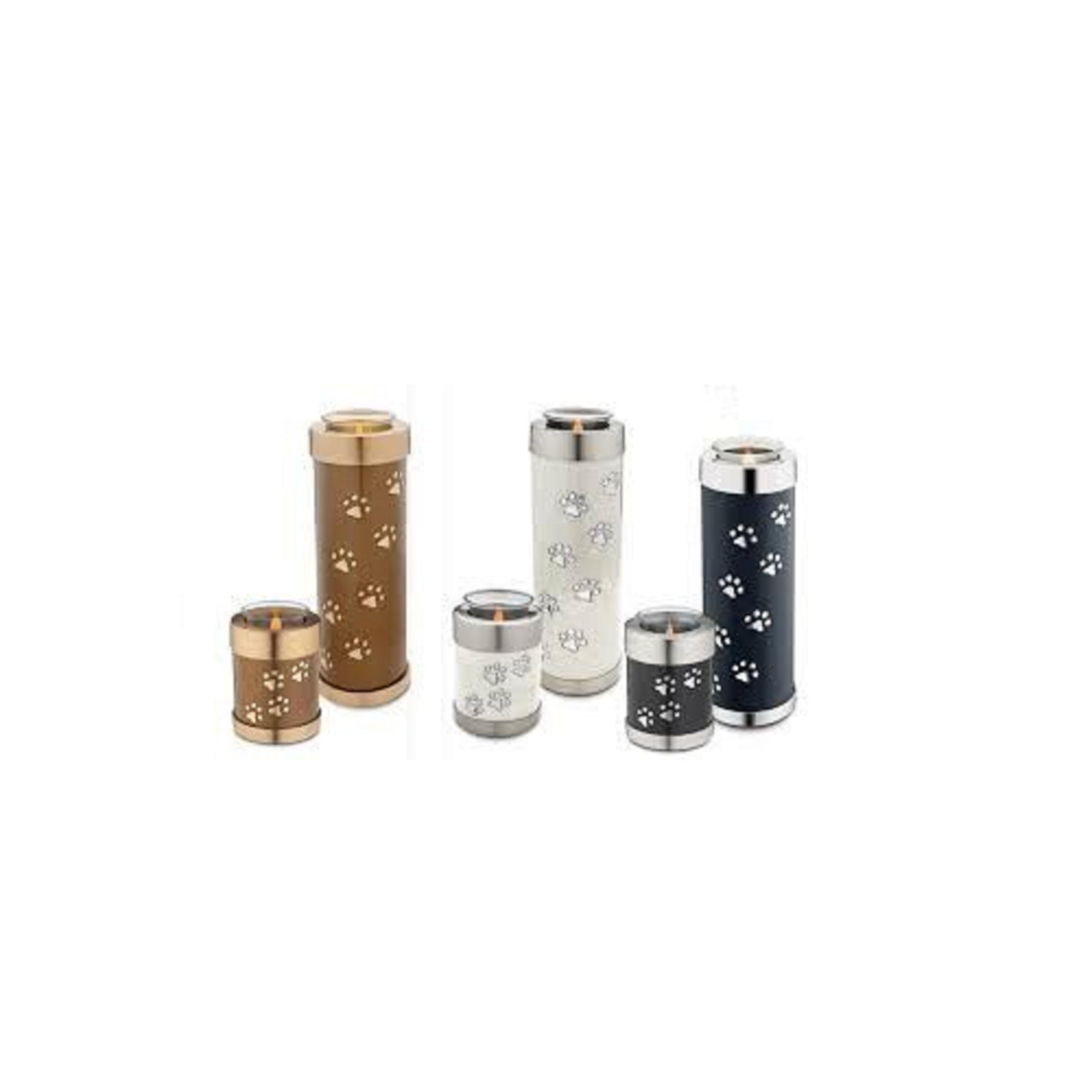 ตามที่แสดง