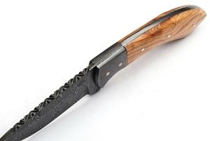 Beautiful Sizzco Damascus Steel Fixed Blade <b>Knife</b> Customizable OEM Olive Wood Handle with Damascus Clip for Hunting & Camping - Product Image 3